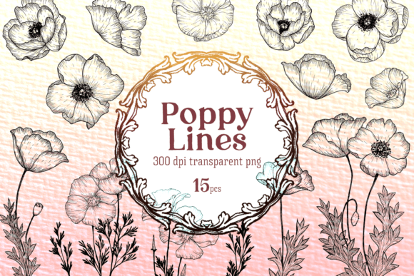 A Poppy Drawn Floral Outlines PNG Set: Your Digital Art Toolbox