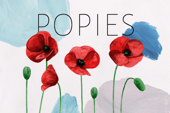 Harness the Beauty of Watercolor Red Poppy Clipart