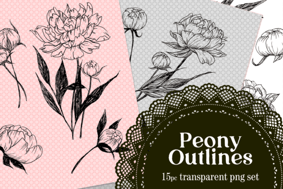 Peony Drawn Floral Lines PNG Set for Creative Projects